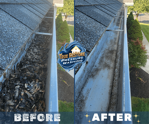 gutter cleaning