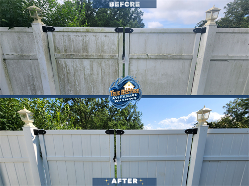 fence cleaning
