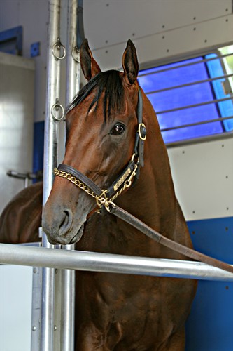 Gallery Image AP_Head_Shot.jpg