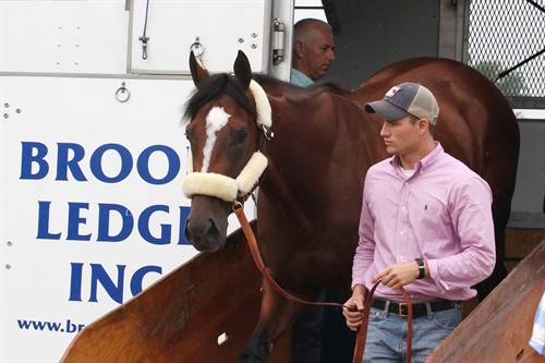 Gallery Image Gemologist1.jpg