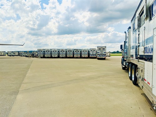 Gallery Image trucks_lined_up_with_plane.jpg