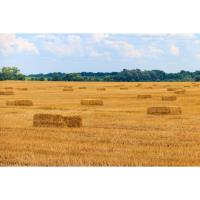 Local family receives PIDA loan to purchase Shoemakersville farm