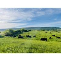 GBDF secures Pennsylvania Catalyst loan for local family 