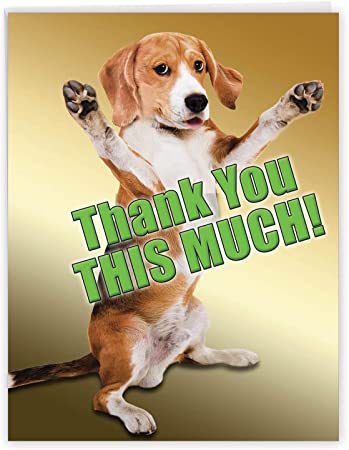 Thank you for your support!