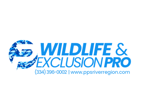 Wildlife & Exclusion PRO! 