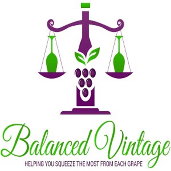 Balanced Vintage Balanced Vintage