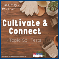 Cultivate and Connect: Gardening Workshop