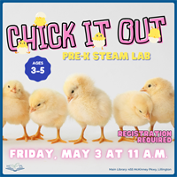 Chick it Out - PreK STEAM Lab