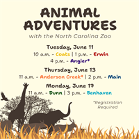 Animal Adventures