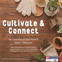 Cultivate and Connect: Gardening Workshop