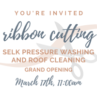 Ribbon Cutting: Selk Pressure Washing and Roof Cleaning