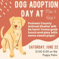 Dog Adoption Day