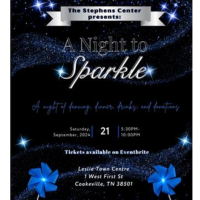 A Night to Sparkle