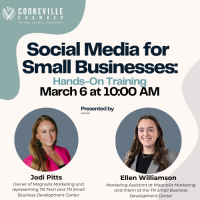 Social Media for Small Businesses Seminar 2025