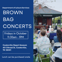 Brown Bag Lunch Concerts