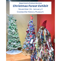Cookeville History Museum Christmas Forest Exhibit