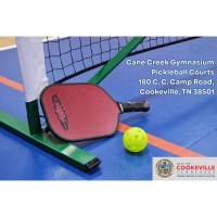 Dink or Treat Pickleball Tournament