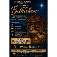 A Night in Bethlehem