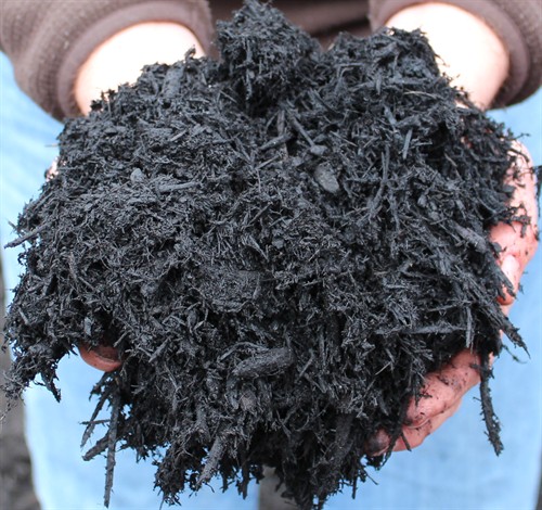 Gallery Image Black-Mulch-2.jpg
