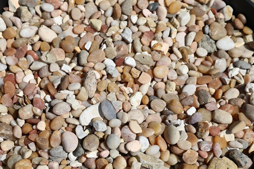 Gallery Image IMG_0046.jpg