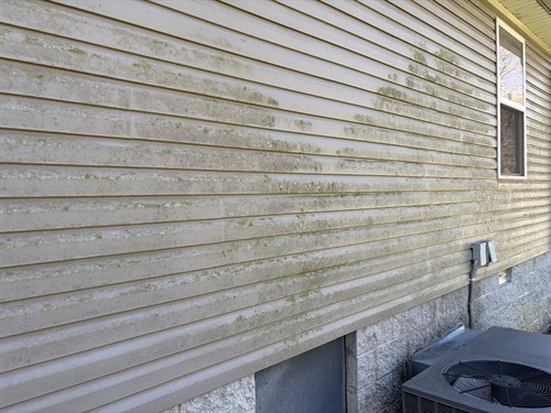 BEFORE — Baxter house washing: siding.