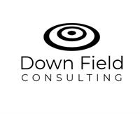 DOWN FIELD CONSULTING
