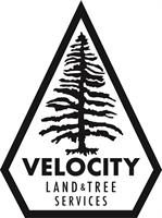 VELOCITY LAND & TREE SERVICE