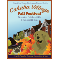 Cahaba Village Fall Festival