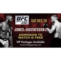 UFC on the Big Screen