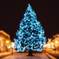 Holiday Lights: Christmas Tree Lighting
