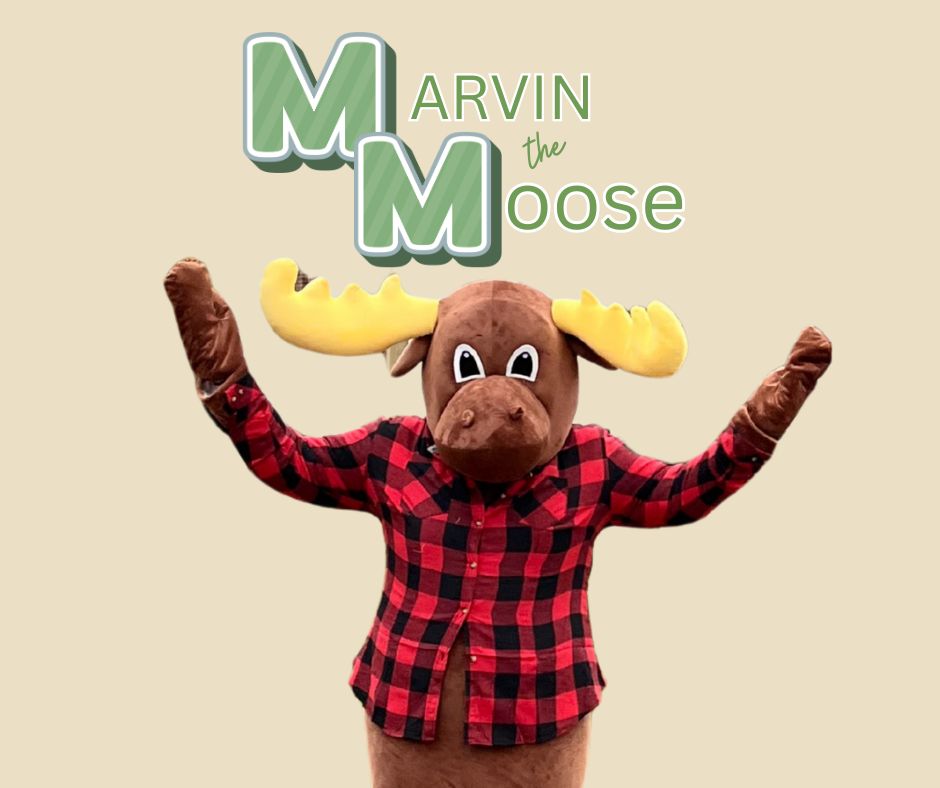 Image for Marvin the Moose