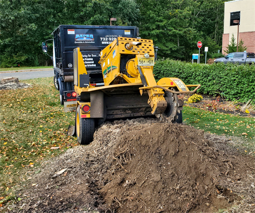 Gallery Image FB_Stump_Grinding.png