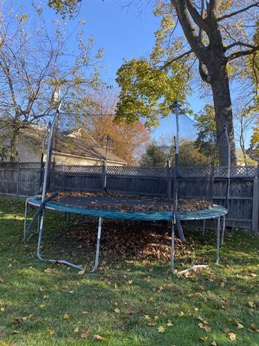 Removals (trampolines, fences, play sets, sheds)