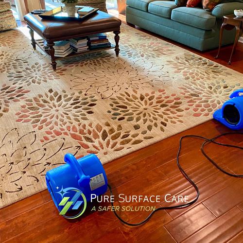 Pure Surface Care- Area Rug Cleaning