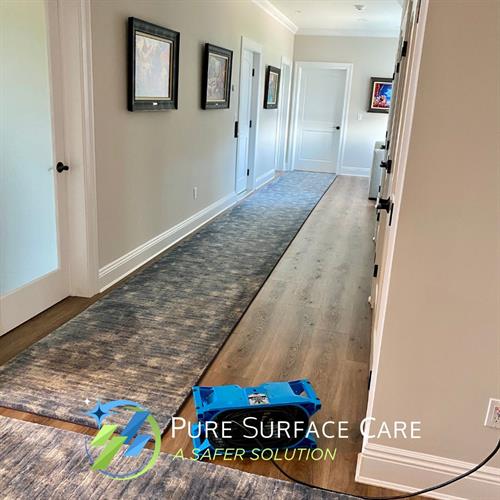 Pure Surface Care- Carpet Cleaning