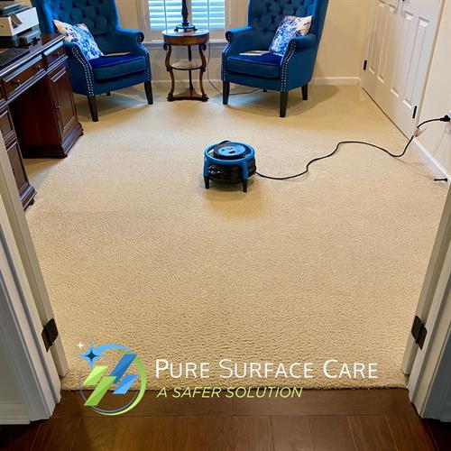 Pure Surface Care- Carpet Cleaning