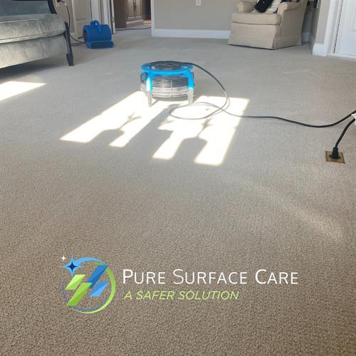 Pure Surface Care- Carpet Cleaning