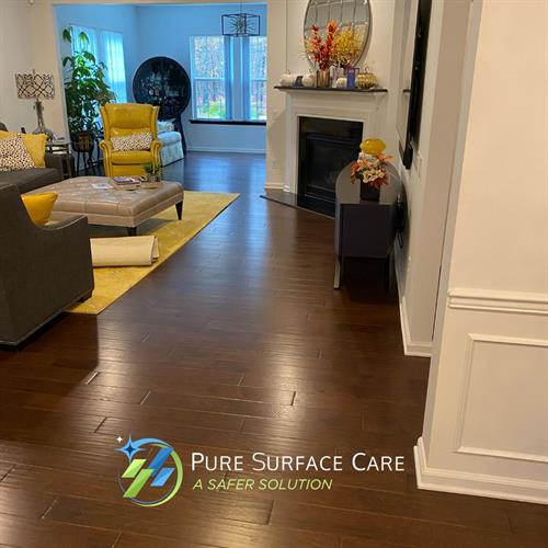 Pure Surface Care- Hardwood Cleaning