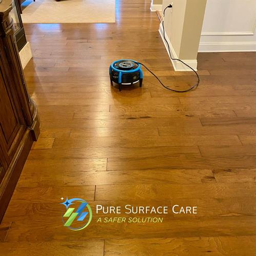 Pure Surface Care- Hardwood Cleaning