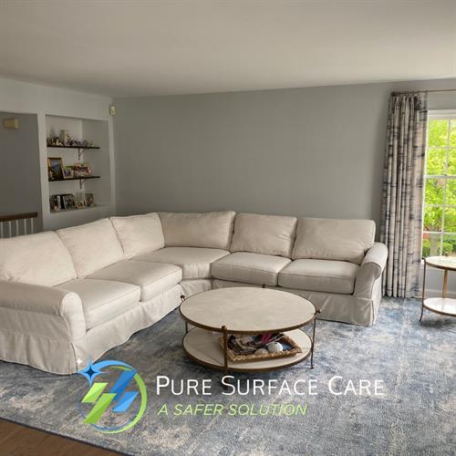 Pure Surface Care- Upholstery Cleaning