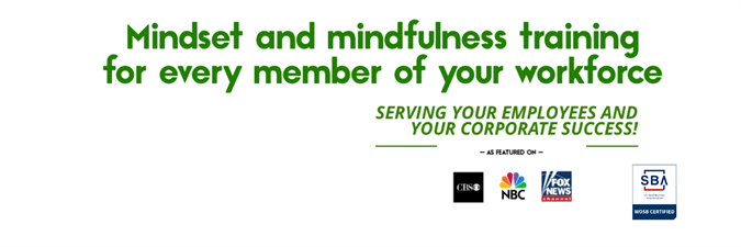 Portable Visions LLC