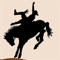 Annual Deseret Ranch Rodeo