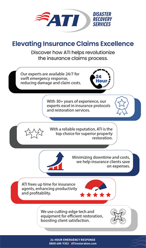 Gallery Image Insurance_Infographic.png