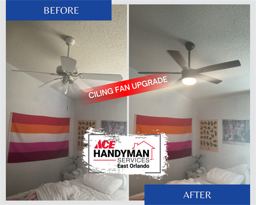 Gallery Image 1.png Gallery Image 1.png