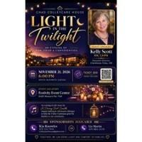 Lights in the Twilights