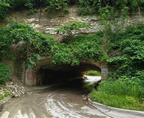 Gallery Image Harmon_Tunnel_Pammel_Park.jpg