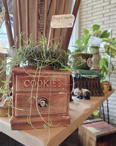 Gallery Image 1000021168.jpg