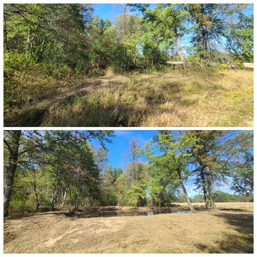 Gallery Image 1759601154205.jpg