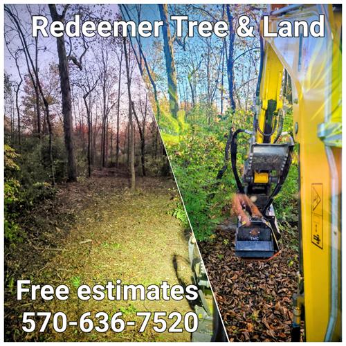 Gallery Image 1760655789252.jpg