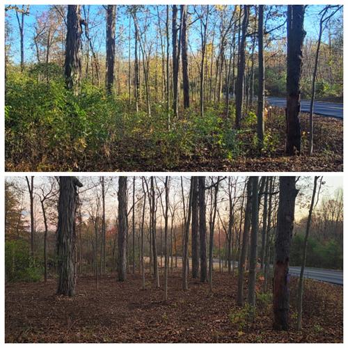 Gallery Image 1760999412199.jpg